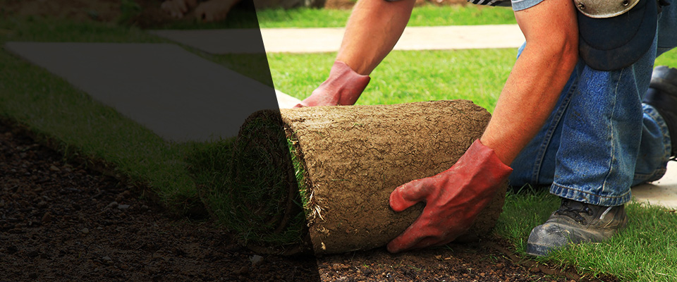 Rosemount Landscapers